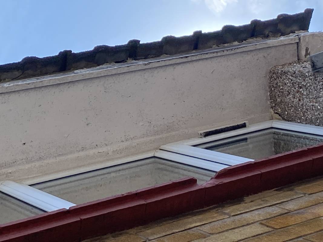 Roofline  Main Photo